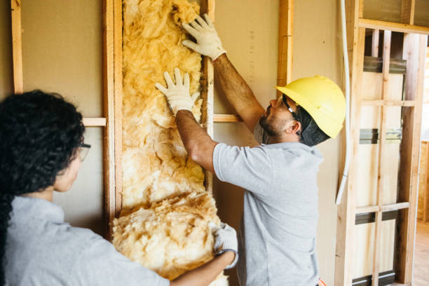 Best Attic Insulation Installation  in Nashville, AR